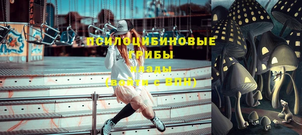 не бодяженный Арсеньев